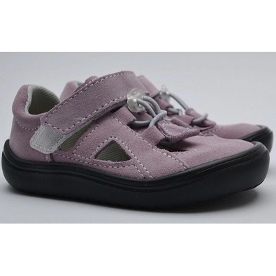 Jonap B9 orchid