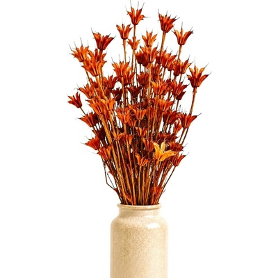 Sušená Nigella Oriental oranžová 90g-95g