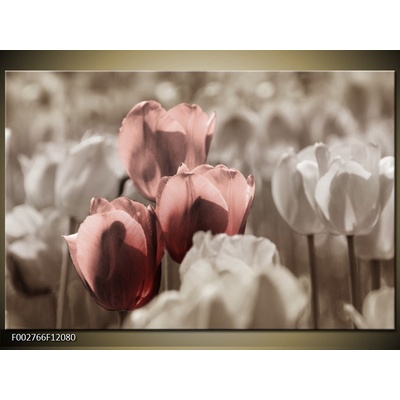Obraz Tři růžové tulipány