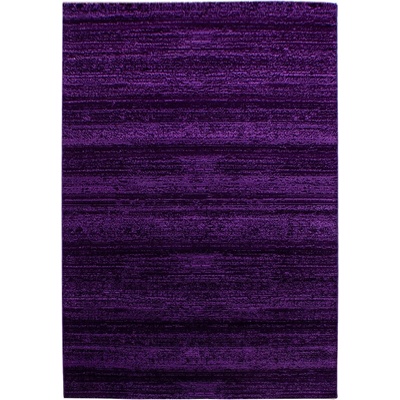 Ayyildiz Тъмнолилав килим 120x170 cm Plus - Ayyildiz Carpets (PLUS1201708000LILA)
