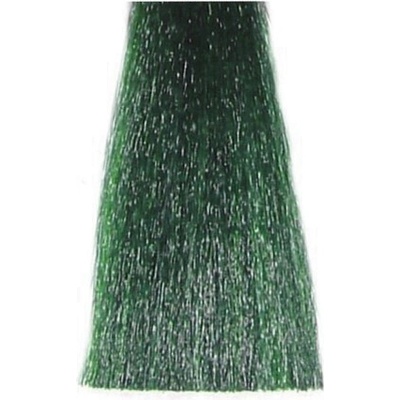 Bes Hi-Fi Hair Color domiešavacia Toners Green 0-93 zelená