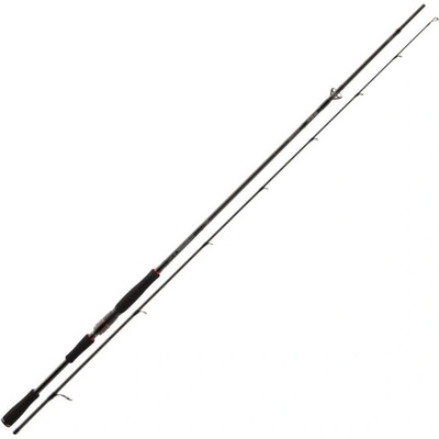 DAIWA TOURNAMENT AGS SPIN 2,4 m 28-84 g 2 díly
