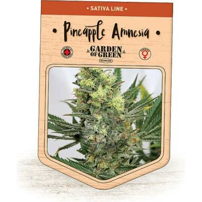 Garden Of Green Seedbank Pineapple Amnesia semena neobsahují THC 3 ks