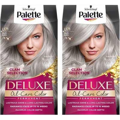 Palette Barvy na vlasy popelavá U71 frosty silver