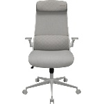 COUGAR COUGAR Stryder White Gaming Chair (CGR-STD-ASW) - ezona