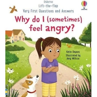 Why do I sometimes feel angry? - Katie Daynes, Amy Willcox