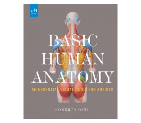 Basic Human Anatomy Osti Roberto