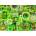 Cobble Hill - Puzzle The Rainbow Collection: Green - 1 000 piese