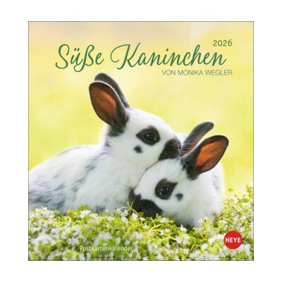 Süße Kaninchen Postkarten 2026