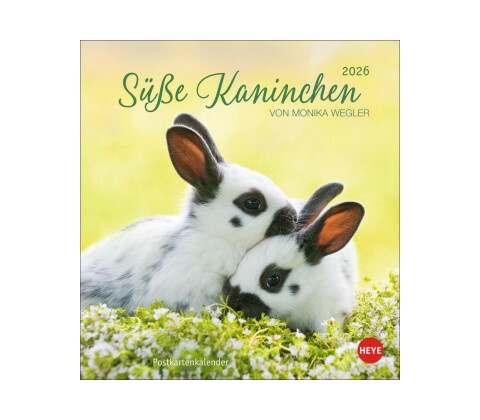 Süße Kaninchen Postkarten 2026