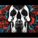 DEFTONES: DEFTONES LP
