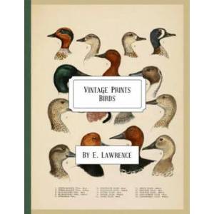 Vintage Prints: Birds | E Lawrence (ISBN: 9781987746136)