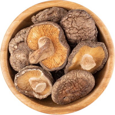 Vital Country Shiitake Premium Houževnatec jedlý 500 g – Hledejceny.cz