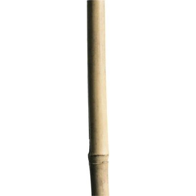 Bambusová tyč oporná FloraSelf 50 cm