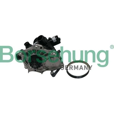 Borsehung B19205