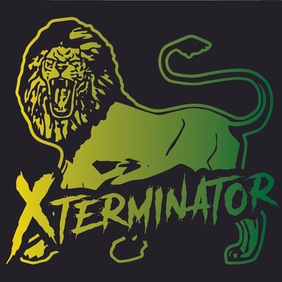 Xterminator - XTerminator Xstory (The History Of XTerminator 1987-2011) (180g) (2 LP) (3760396023393)