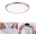 PAULMANN 93051