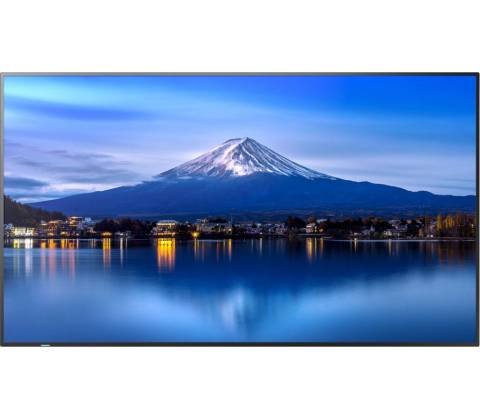 Sharp MultiSync P556
