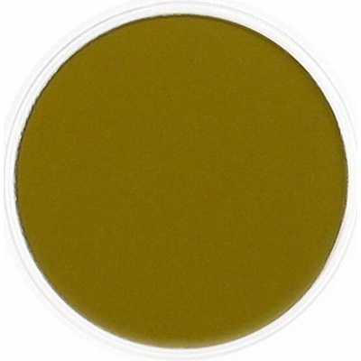 PanPastel suchý pastel 250.1 diarylide yellow extra dark