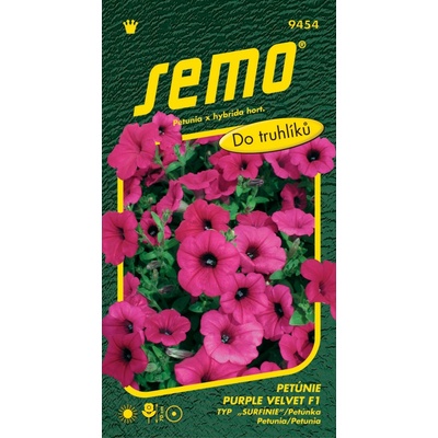 Semo Petunie převislá - Purple Velvet F1 (typ Surfinie) 10p