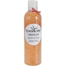 Soaphoria ShinyShamp tekutý šampón na normálne vlasy bez lesku 250 ml