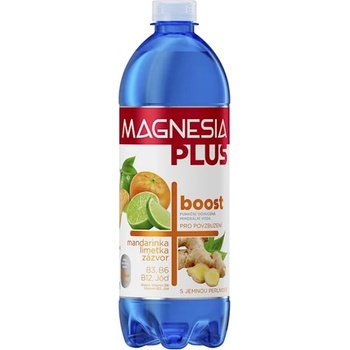 Magnesia Plus Boost 0,7 l