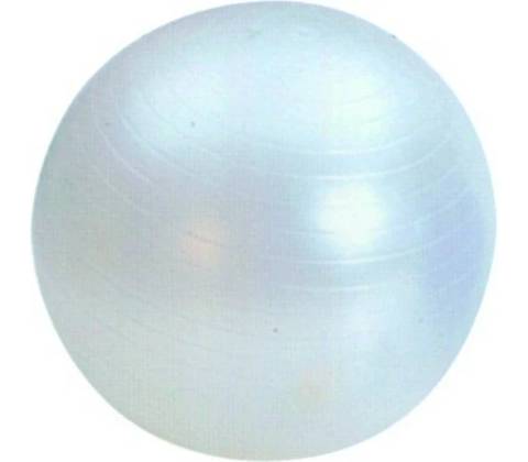 Master 65cm