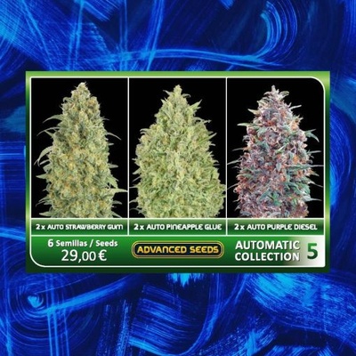Advanced Seeds Feminized Collection #5 semena neobsahují THC 6 ks