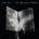 The Marvellous Notebook - John Foxx CD