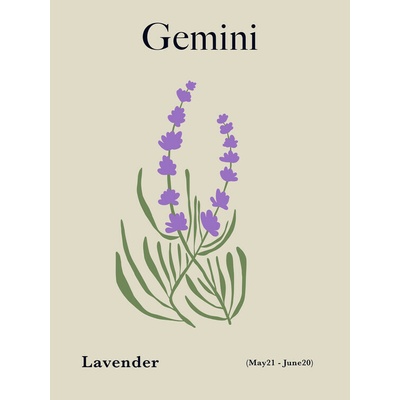 Plagát, Obraz - Gemini Birth Flower, Miho Art Studio, 30 × 40 cm