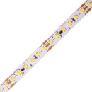 T-LED 079556