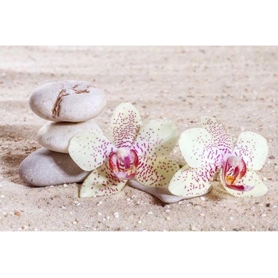 DIMEX ART Флизелинов фототапет дзен 375 x 250 см