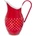 Orion Bodka 2,5 l