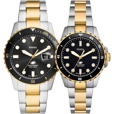 Fossil FS6031 / ES5349