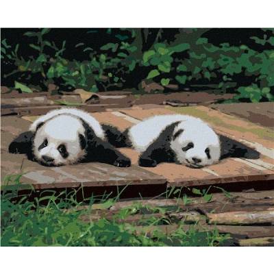 zuty Malování Podle Čísel Panda Ležící Na Dřevě 40 x 50 Cm Plátno Rám