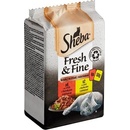 Sheba Fresh & Fine Hovězí a Kuřecí ve šťávě 6 x 50 g