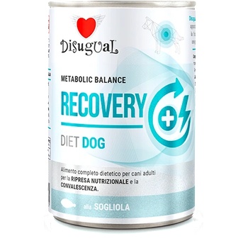 Disugual Karma - мокра храна за кучета, ветеринарна серия RECOVERY Sola (за възрастни кучета) 400г