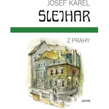 Z Prahy - Josef Karel Šlejhar