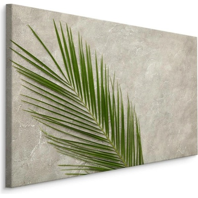 MyBestHome BOX Plátno Palmový List Na Betonovém Pozadí Varianta: 100x70