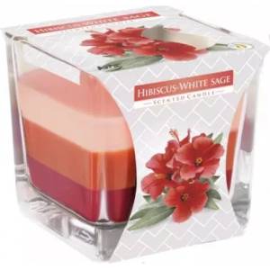 BISPOL Свещ Bispol хибискус бял градински чай snk80-356 170 г