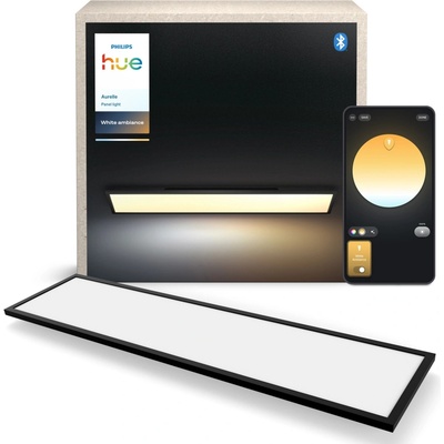 Philips P6834