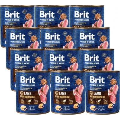Brit Premium by Nature Агнешко с елда 12x800г
