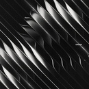 DIMENSION - ORGAN CD