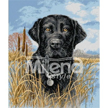 Milena Style Лабрадор - гоблен със схема конци dmc 1: 1