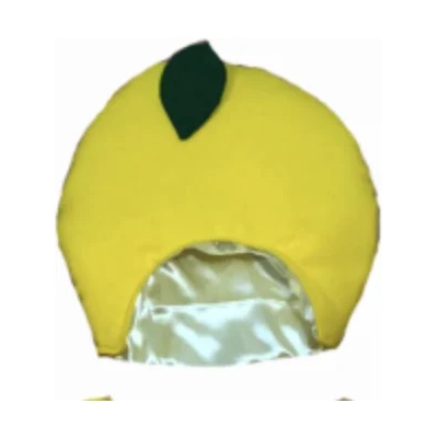 КАРНАВАЛ ШАПКА ЛИМОН (787720230901)