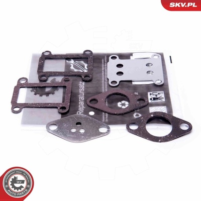 Súprava na opravu, ventil AGR ESEN SKV 14SKV528 14SKV528