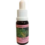PHI Essences Подпомага екипната работа и творчеството - Есенция Лопен № 29, капки 15 ml (9 WILD)