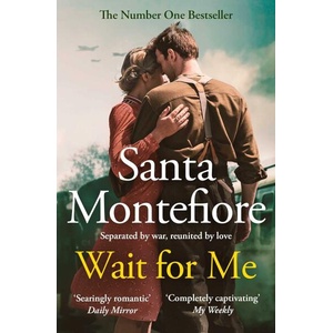 Wait for Me (ISBN: 9781398513983)