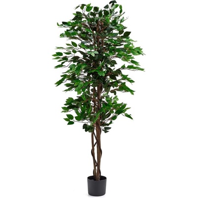 Umělá rostlina EVERGREEN, fíkus benjamin, umělý, 1600 mm, 1 ks