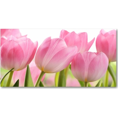 Fotoobraz na skle ružové tulipány 100x50 cm